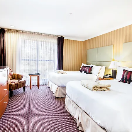 Executive Suites Hotel & Conference Center, Metro Vancouver-3