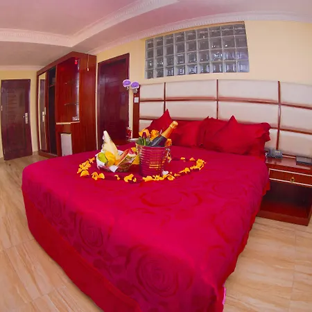 Tiffany Diamond Hotels Ltd - Indira Gandhi Street-2