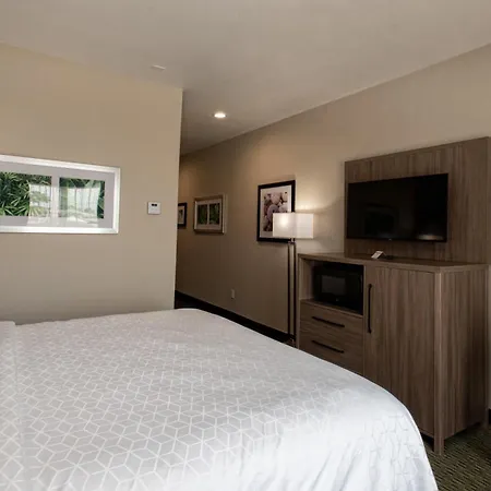 Holiday Inn Express Hotel And Suites Port Aransas/Beach Area By Ihg-3