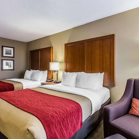 Comfort Inn & Suites Airport-American Way-2