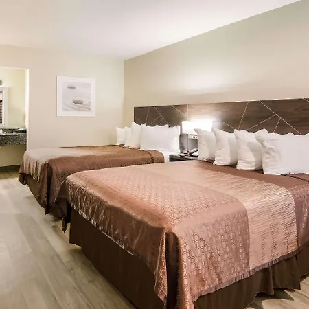 Quality Inn & Suites Dallas-Cityplace-3