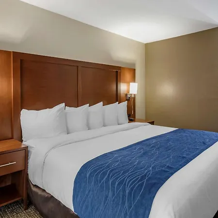Comfort Inn Nashville - Opryland Area-3