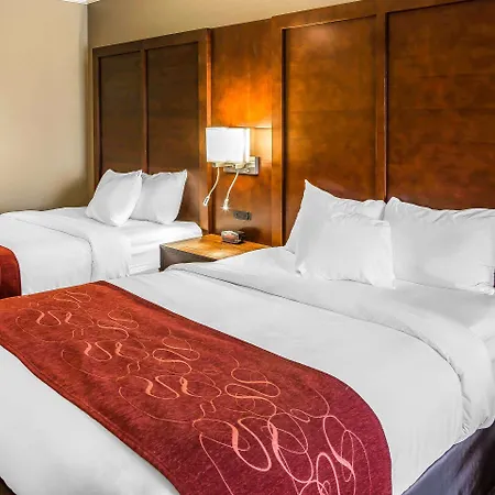 Comfort Suites San Jose Airport-3