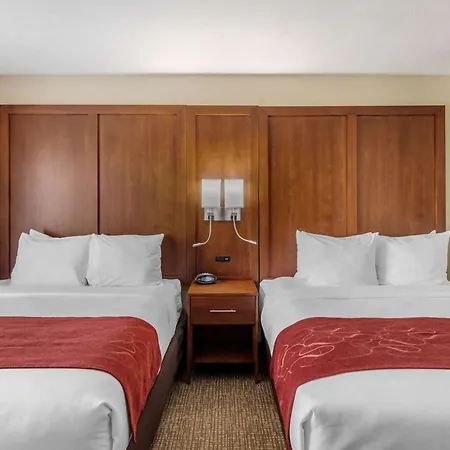 Comfort Suites Speedway - Kansas City-3