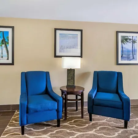 Comfort Inn & Suites St Pete - Clearwater International Airport-2