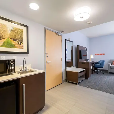 Hampton Inn & Suites Modesto - Salida-3