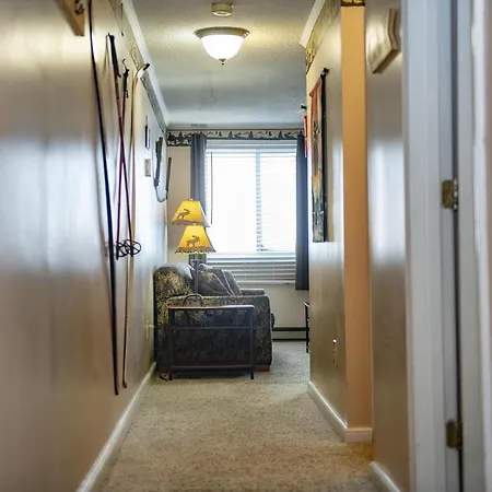 Stroll To Slopes, Village Area, Ski In-Out Mtlodge 322-2