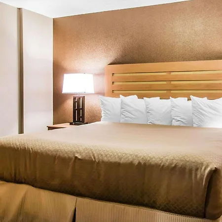 Quality Inn & Suites Warren - Detroit-3