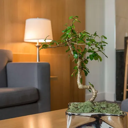 The West Wing Boutique Hotel-3