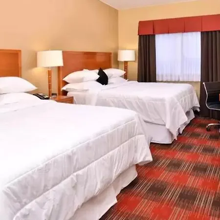Quality Inn & Suites Airport-2