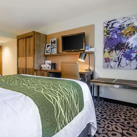 Comfort Inn Raleigh Midtown-3