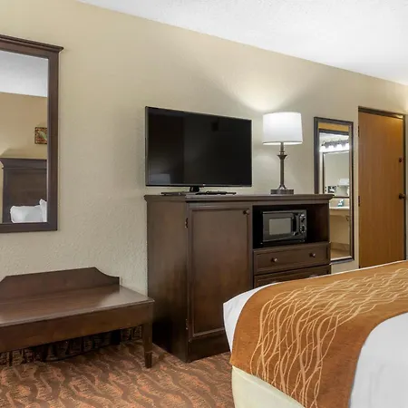 Comfort Inn At Thousand Hills-3
