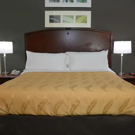 Quality Inn & Suites Dublin-2