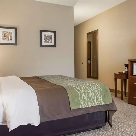 Comfort Inn Edinburg South-2