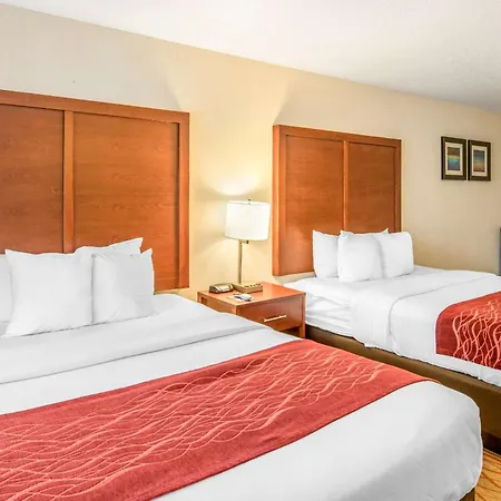 Comfort Inn Mount Shasta Area-3