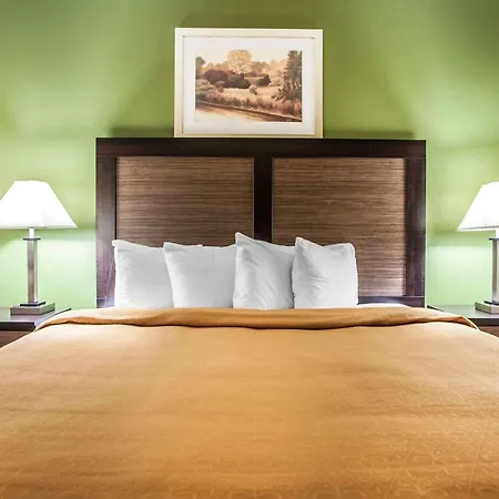 Quality Inn & Suites Champaign North - Urbana-2