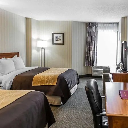 Comfort Inn Pentagon City-2