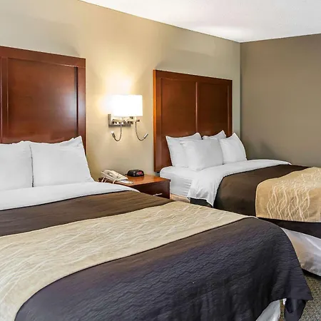 Comfort Inn Pentagon City-3
