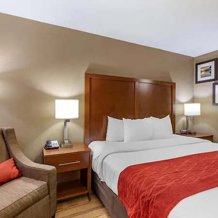 Comfort Inn & Suites Cedar Rapids North - Collins Road-3