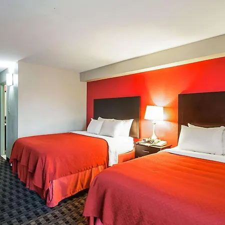 Quality Inn Near Potomac Mills-3