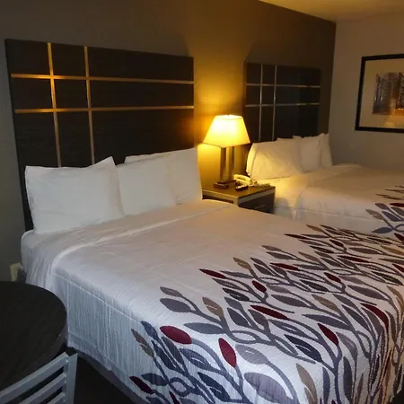 Red Roof Inn Columbia, Tn-3