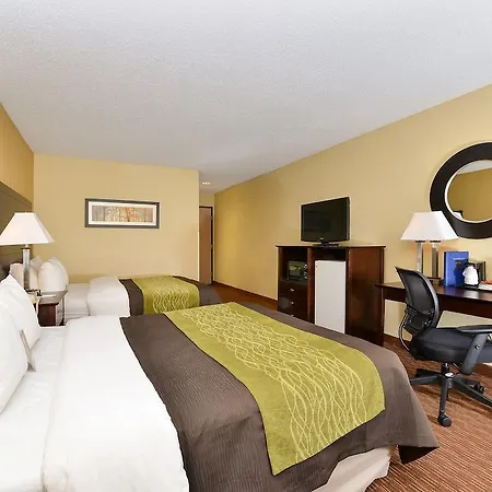 Comfort Inn & Suites-3