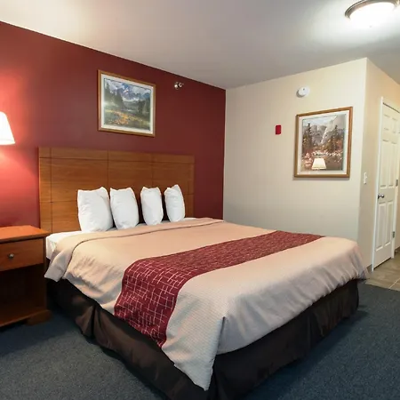 Red Roof Inn & Suites Dickinson-2