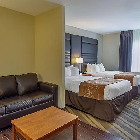 Comfort Suites Near Tanger Outlet Mall-3