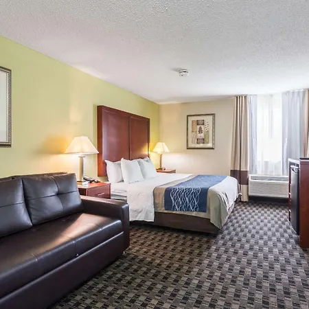 Comfort Inn Decatur Priceville-3