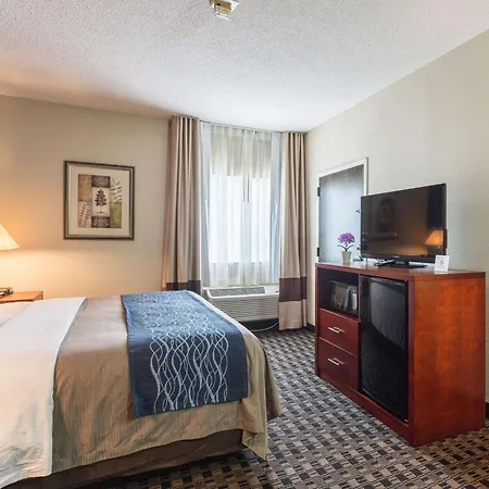 Comfort Inn Decatur Priceville-2