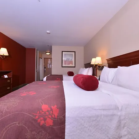 Best Western Plus Rama Inn-3