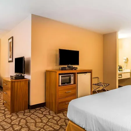 Quality Inn & Suites Chesterfield Village-3