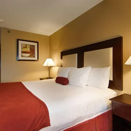 Best Western Macomb Inn-3