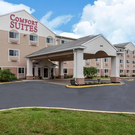 Comfort Suites Rochester Henrietta University Area-2