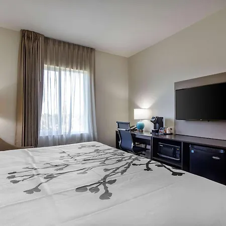Sleep Inn & Suites Tampa South-2