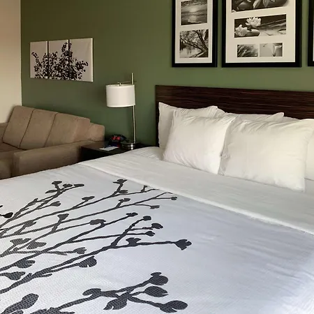 Sleep Inn & Suites Garden City-2