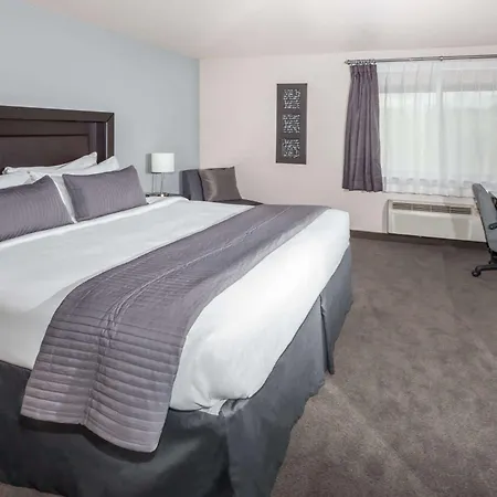 Baymont By Wyndham Glenview-3