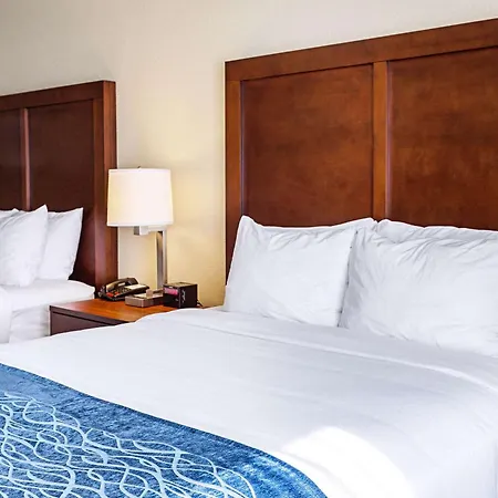 Comfort Inn & Suites Niagara Falls Blvd Usa-3
