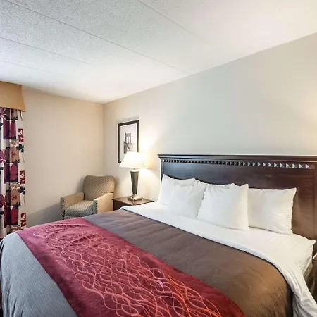Quality Inn Annapolis-2