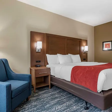 Comfort Inn & Suites Downtown Near University-3