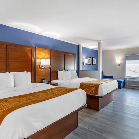 Comfort Suites St Louis - Sunset Hills-2