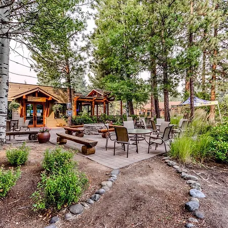 Tree Top Retreat-3