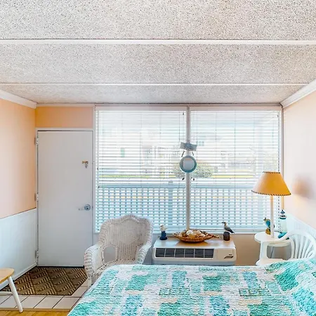 Shorely Suite-3