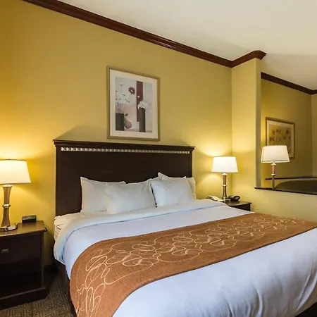 Comfort Suites Galveston Cruise Port Area - Beachside-3