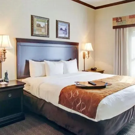 Comfort Suites University Drive-3