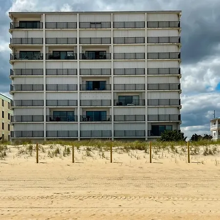 Golden Surf 402-2
