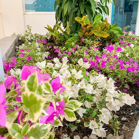 Hotel Abi Inn By Geh Suites-2