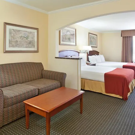 Holiday Inn Express Hotel & Suites Tucson Mall By Ihg-3