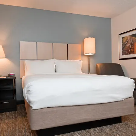 Sonesta Simply Suites Clearwater St Petersburg-2