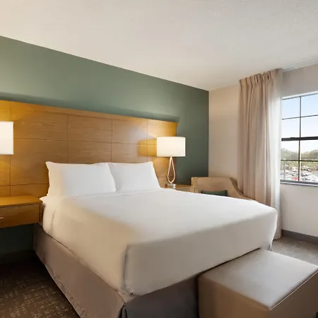 Staybridge Suites Tampa East- Brandon By Ihg-3